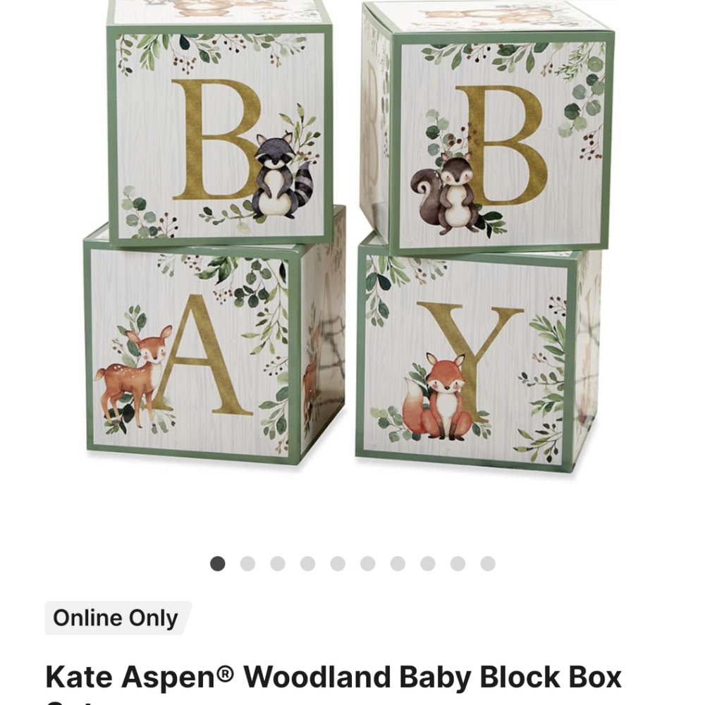 Kate Aspen Woodland Animals Baby Shower Decor